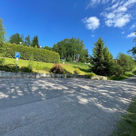 Penzion Horal Hotel Dolni Morava Exterior photo
