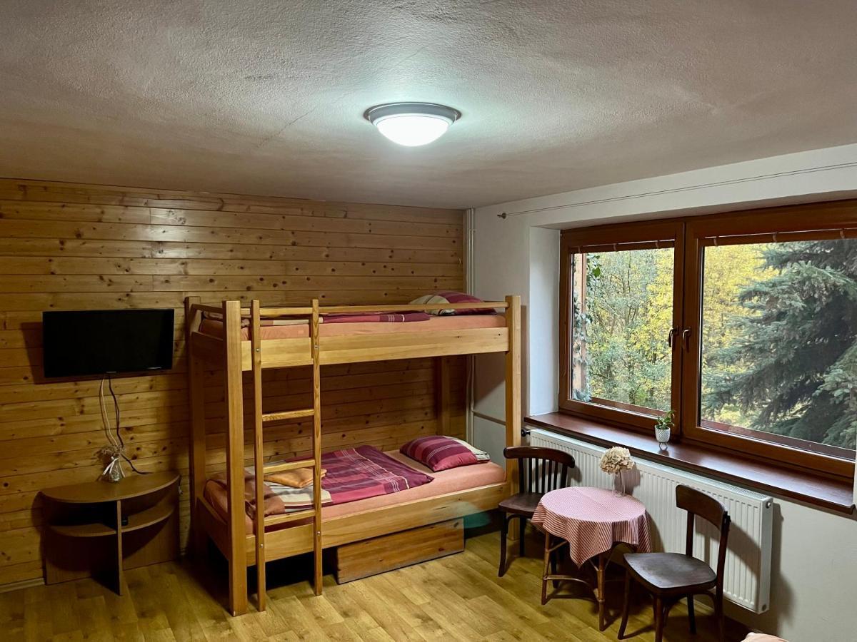 Penzion Horal Hotel Dolni Morava Exterior photo