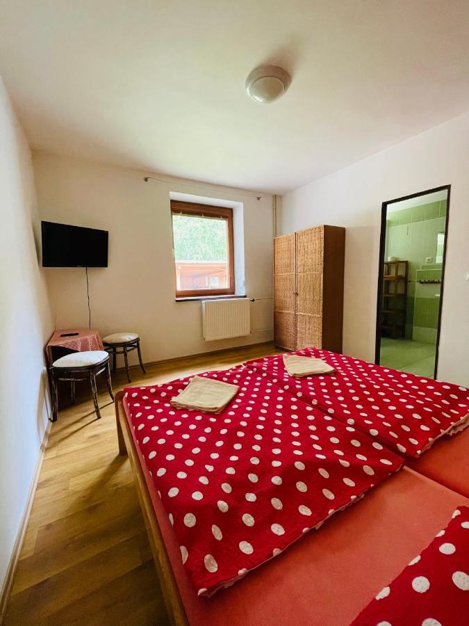 Penzion Horal Hotel Dolni Morava Exterior photo