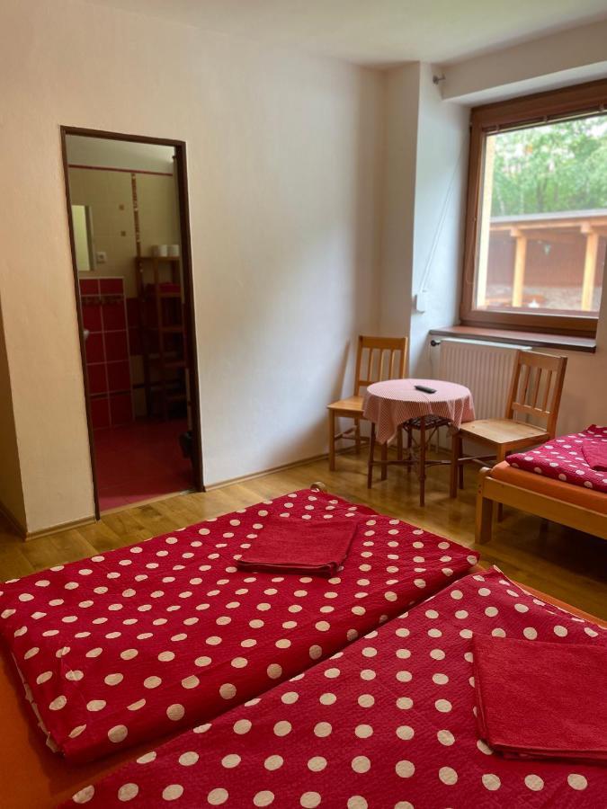 Penzion Horal Hotel Dolni Morava Exterior photo