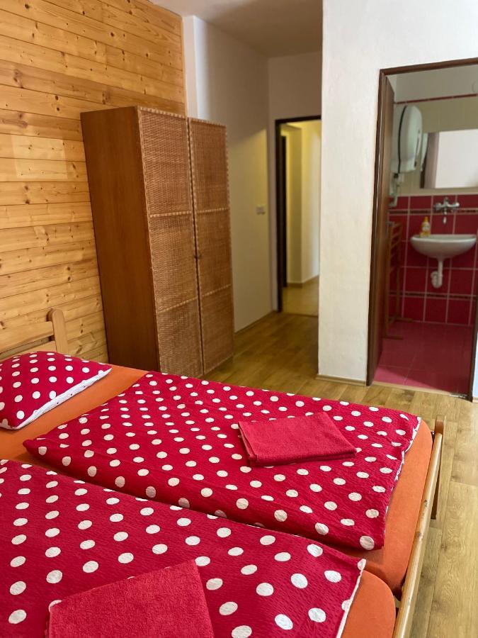Penzion Horal Hotel Dolni Morava Exterior photo